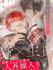 刺猬索尼克极速档案漫画封面